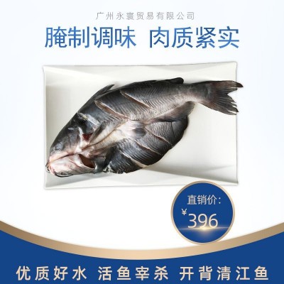 烤鱼原料 腌制清江鱼 100%净重 叉尾鮰鱼 850*1100G*10条