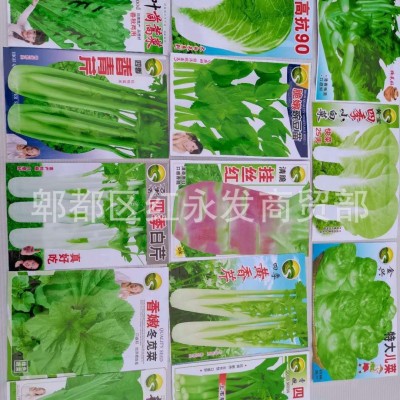 跑江湖地摊各种菜种家庭阳台蔬菜种子10元5包模式当季菜种