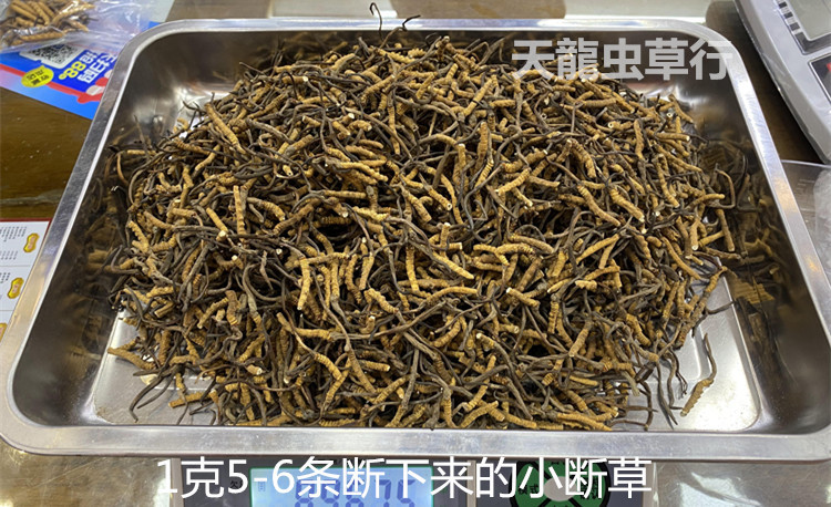 19小断草详情水印