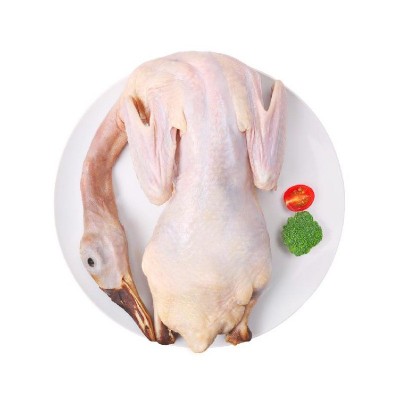 东发厂家批发中装鸭 白条鸭1.5-2.6斤不等 肉鸭无掌无翅 卤味