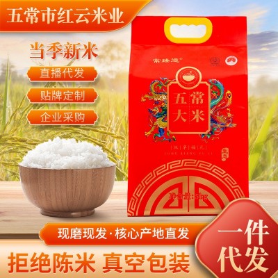 新大米黑龙江五常大米10斤生态米软糯香甜东北五常特产大米批发
