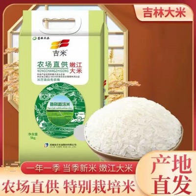 大米吉米特别裁培米5kg粳米香米当季新米10斤真空装东北大米批发