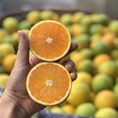 秭归夏橙9分甜橙子脐橙果园现摘新鲜多汁薄皮应季水果整箱 批代发