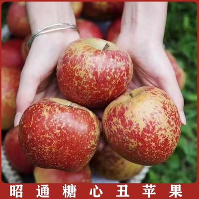 云南昭通冰糖心丑苹果水果新鲜脆甜红富士当季产地直销包邮