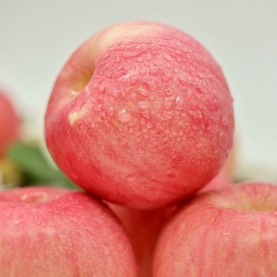 正宗红富士苹果甜脆多汁净重4.5-5斤/箱