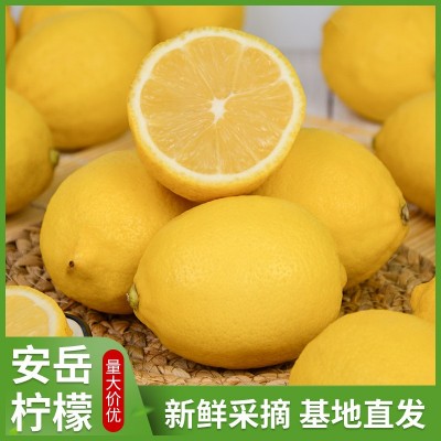 安岳黄柠檬水果当季新鲜产地直发薄皮三级柠檬果新鲜奶茶商用批发
