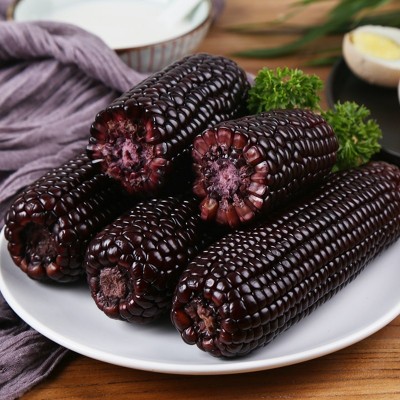 黑糯玉米10根包邮东北新鲜紫黏玉米双棒装即食甜嫩苞米粒真空蔬菜