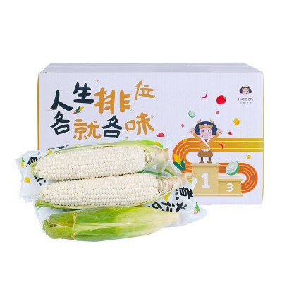 【顺丰】 福建牛奶玉米 新鲜生吃爆浆甜玉米棒冰糖白玉米整箱代发