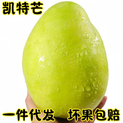 四川攀枝花凯特芒果大脸芒果当季时令新鲜现摘水果供一件代发