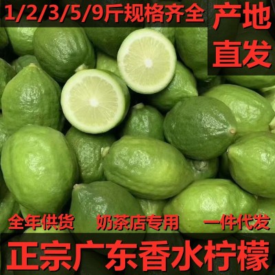 正宗广东香水柠檬12/3/5/9斤无籽青柠奶茶店专用新鲜水果整箱批发