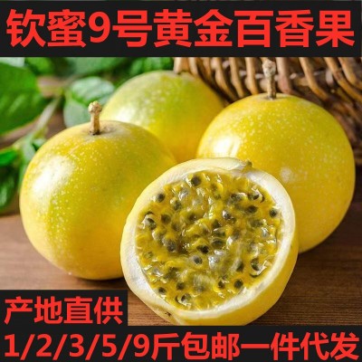 【极速发货】广西钦蜜9号黄金百香果1/3/5/9斤大中小新鲜整箱水果