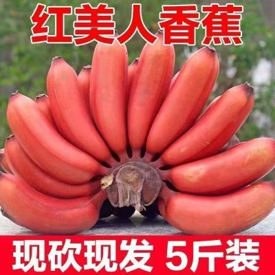 （新鲜采摘）应季红美人香蕉新鲜红皮香蕉现摘产地直发薄皮水果