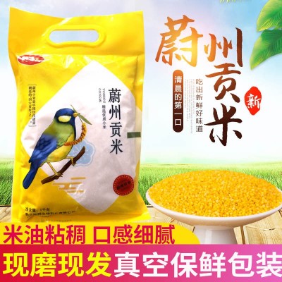 蔚县黄小米2斤/袋蔚州贡米新黄小米粥小米饭粗粮米张家口特产批发