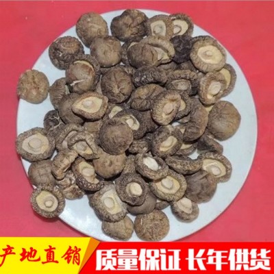 脱水香菇脚香菇丁香菇3-3.5香菇