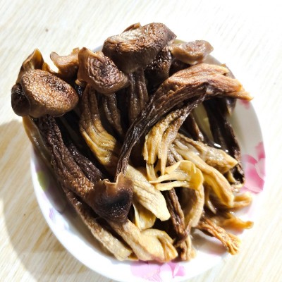 鹿茸菇干货500g鹿茸菌云南特产食用菌菇煲汤料香菇批发代发
