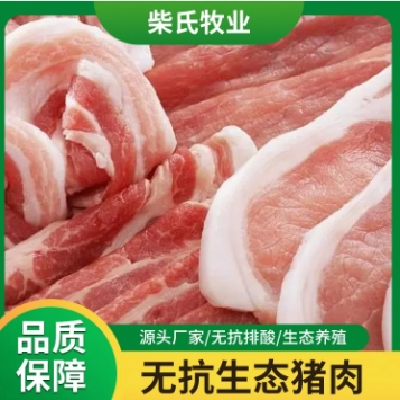 五花肉 新鲜无抗猪肉 餐馆饭店绿色肉 柴氏牧业 厂家直供