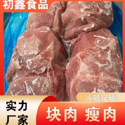 初鑫 块肉 瘦肉 快餐排骨块肉多 新鲜肉 冷冻 炸肉
