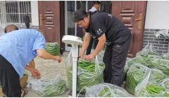 打造辣椒预制菜基地·带动村民共致富——记安康市人大代表陈琳