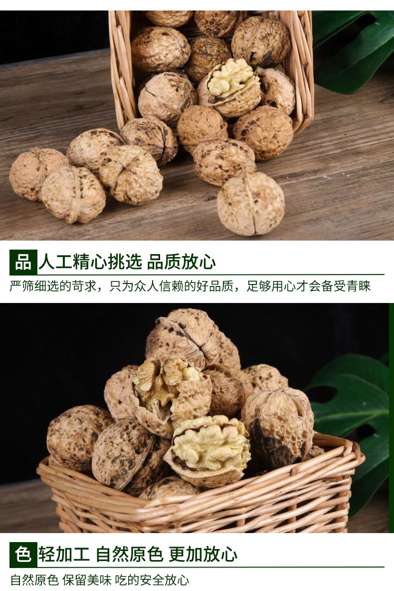 纸皮核桃_05