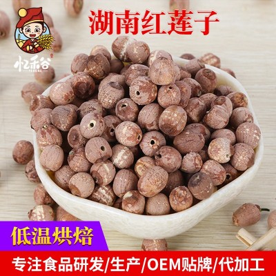 批发莲子无芯莲子豆浆粉原料无硫莲子红皮散装干货湘莲去心红莲子